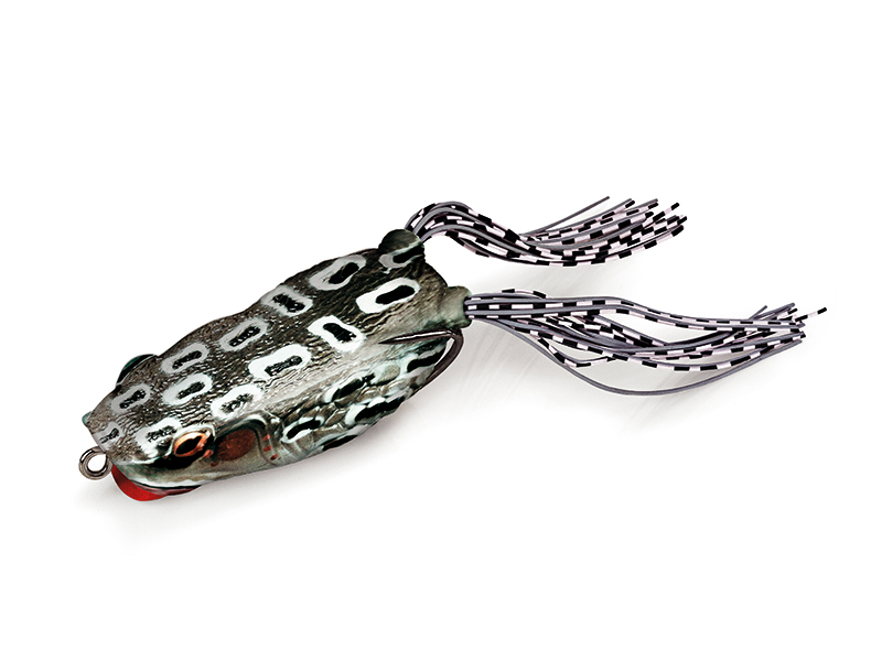 Molix Pop Frog Rattlin 2.5 Inch